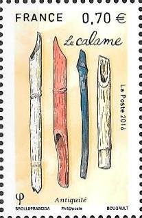 The calamus