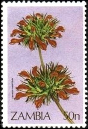 Stamp, Leonotis nepetifolia, Zambia,  , Flowers, Plants (Flora)