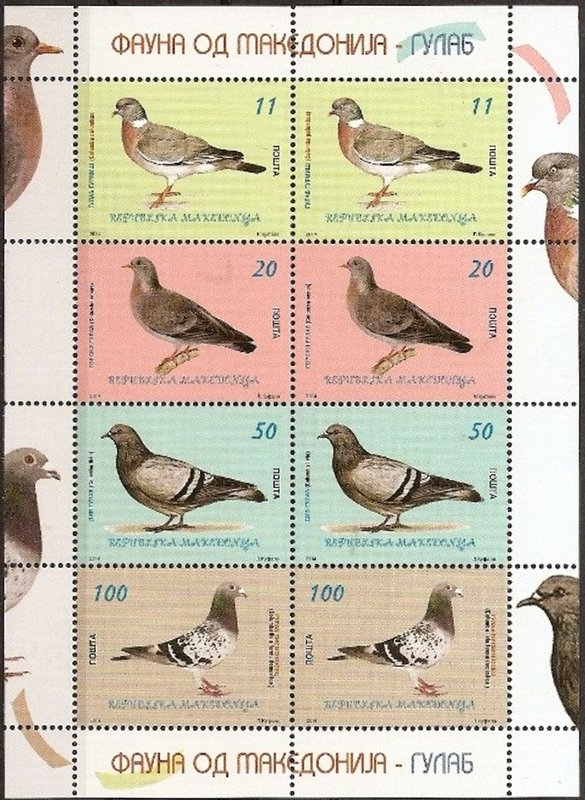 Pigeons