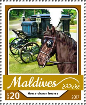 Horse-drawn hearse