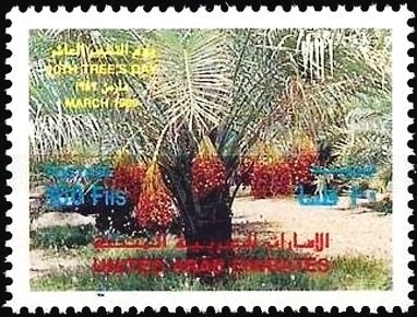 Palm