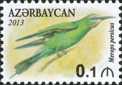 Blue-cheeked Bee-eater (Merops persicus)