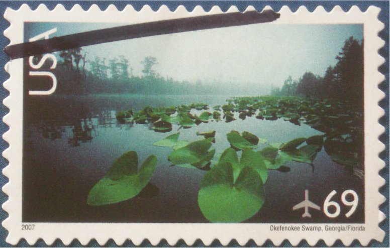 Okefenokee Swamp