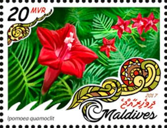 Stamp, Ipomoea quamoclit, Maldives,  