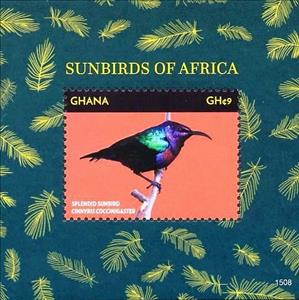 Souvenir Sheet, Splendid Sunbird    Cinnyris coccinigastrus, Ghana,  , Animals (Fauna), Birds
