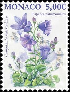 Stamp, Thick Rooted Campanula, Monaco,  , Flowers, Plants (Flora)