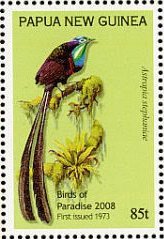 Astrapia stephaniae