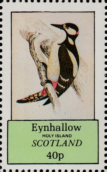 Woodpeckers