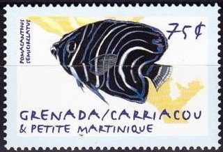 Pomacanthus semicirclatus