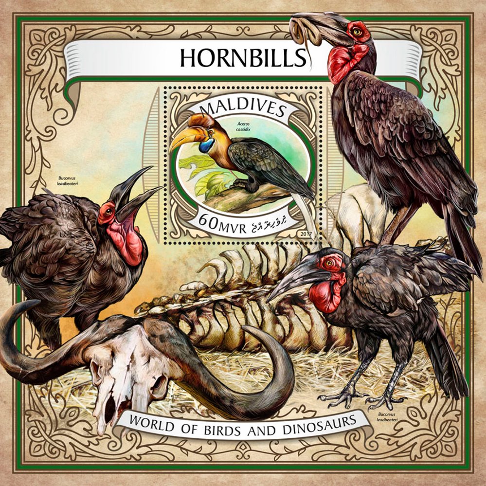 Hornbills