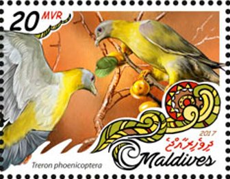 Stamp, Treron phoenicoptera, Maldives,  
