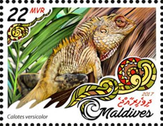 Stamp, Calotes versicolor, Maldives,  