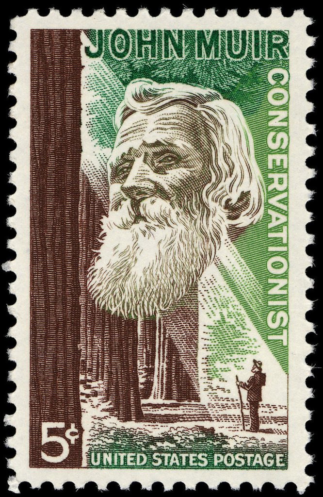 John Muir and Redwood Forest