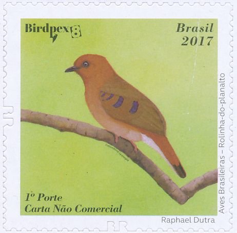 Brazilian Birds - Self Adhesives