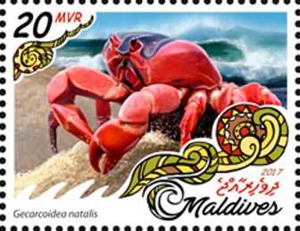 Gecarcoidea natalis