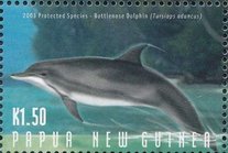 Tursiops aduncus