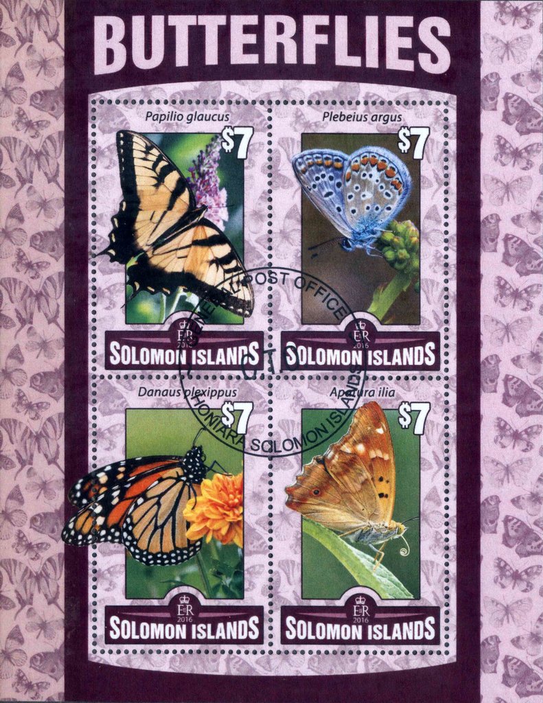 Butterflies