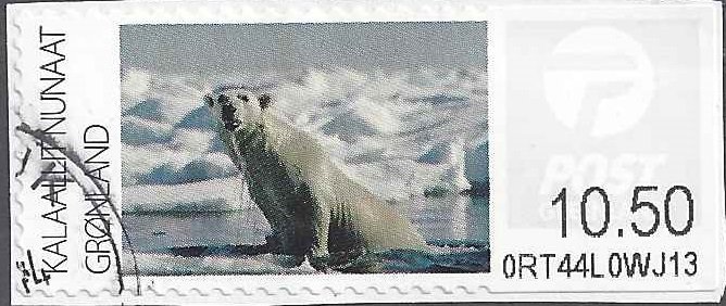 Polar Bear - Eisbär (Ursus maritimus)