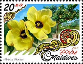 Hibiscus tiliaceus