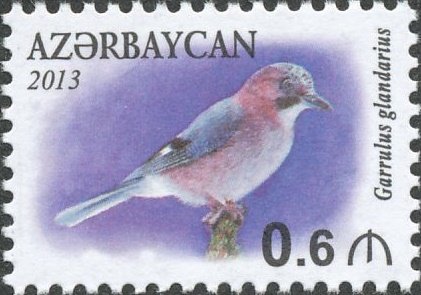 Eurasian Jay (Garrulus glandarius)