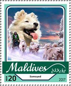 Stamp, Samoyed, Maldives,  , Dogs