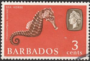 Stamp, Sea Horse (Hippocampus sp. with an "m"), Barbados,  , Animals (Fauna), Fishes, Sea Life, Seahorses
