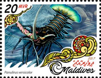 Stamp, Panulirus versicolor, Maldives,  