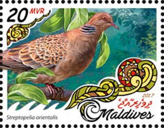 Stamp, Streptopelia orientalis, Maldives,  