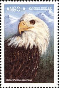 Stamp, Bald Eagle (Haliaeetus leucocephalus), Angola,  , Animals (Fauna), Birds, Birds of Prey, Eagles