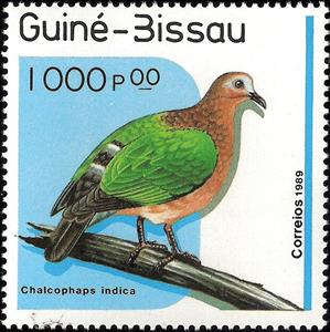 Stamp, Common Emerald Dove (Chalcophaps indica), Guinea-Bissau,  , Birds