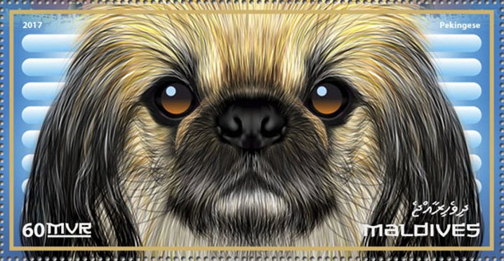 Pekingese