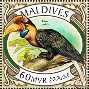 Stamp, Aceros cassidix, Maldives,  