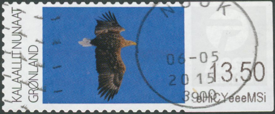 Seeadler (Haliaeetus albicilla)