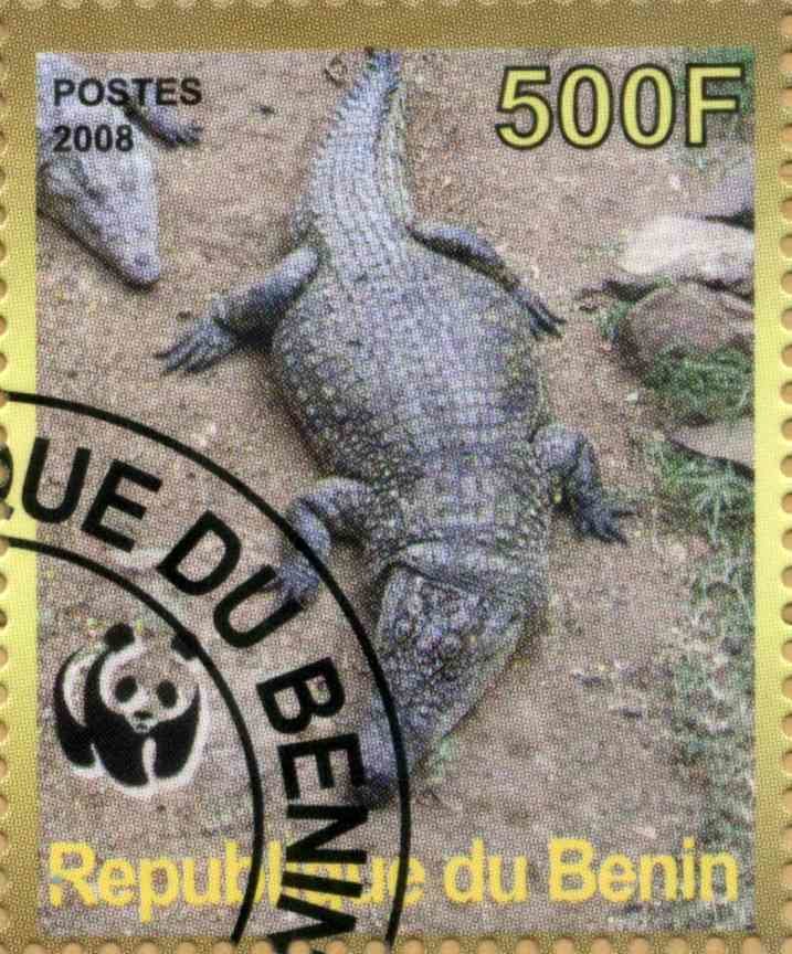 Crocodiles