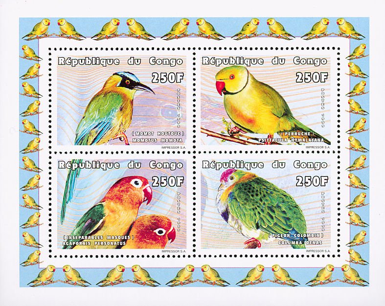 Birds