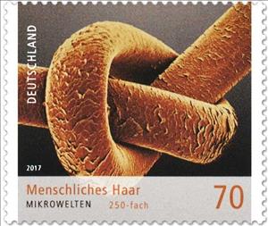Stamp, Human hair, Germany, Federal Republic,  , Miniatures