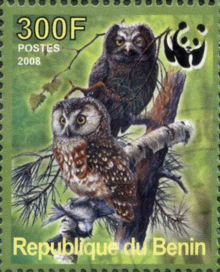 Owl