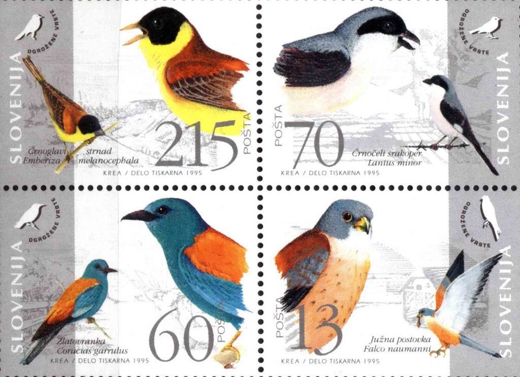 Fauna of Slovenia - Endangered bird species