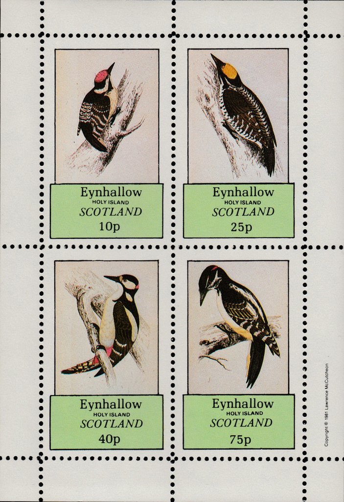 Woodpeckers