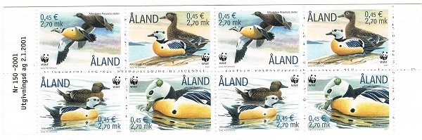 Steller's Eider (Polysticta stelleri)
