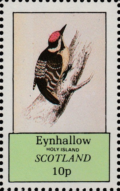 Woodpeckers