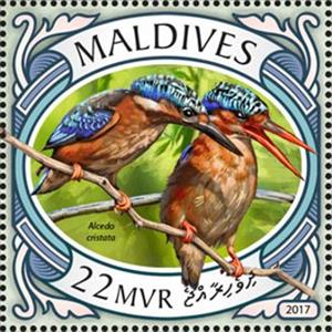 Stamp, Alcedo cristata, Maldives,  , Birds