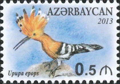 Eurasian Hoopoe (Upupa epops)
