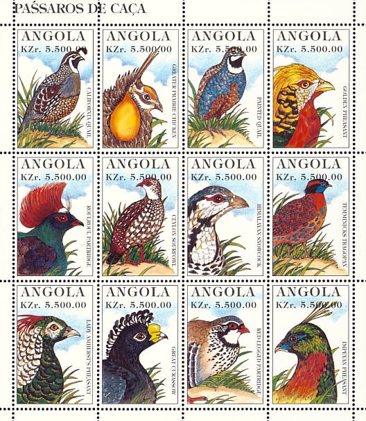 Birds