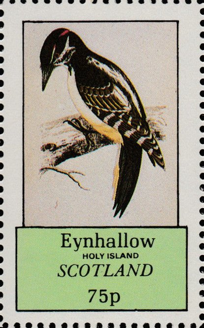Woodpeckers