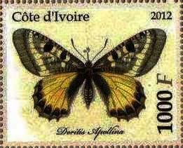 Dorilis apollina