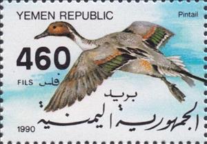 Stamp, Northern Pintail (Anas acuta), Yemen,  , Animals (Fauna), Birds, Ducks