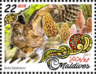 Stamp, Bubo blakistoni & Morchella esculenta, Maldives,  