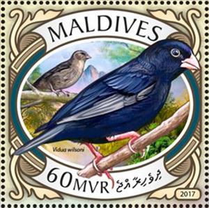 Stamp, Vidua wilsoni, Maldives,  