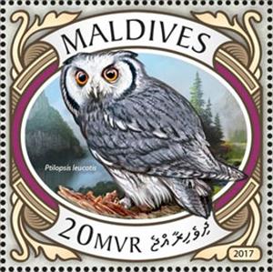 Stamp, Ptilopsis leucotis, Maldives,  